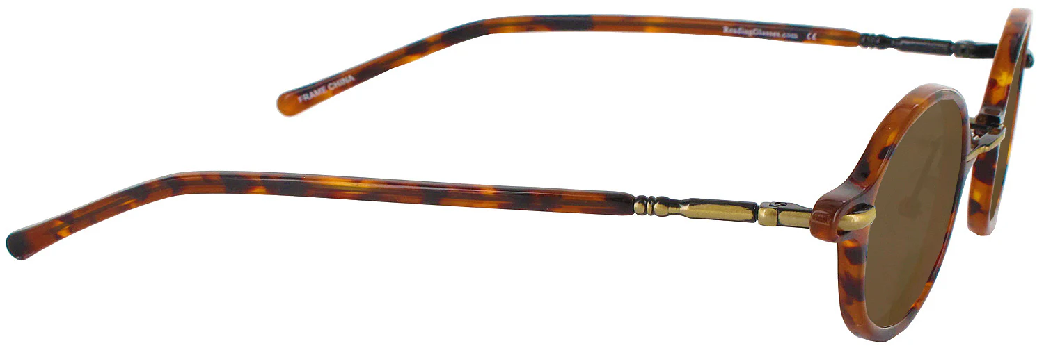 Archive III Progressive No Line Reading Sunglasses - Image 12
