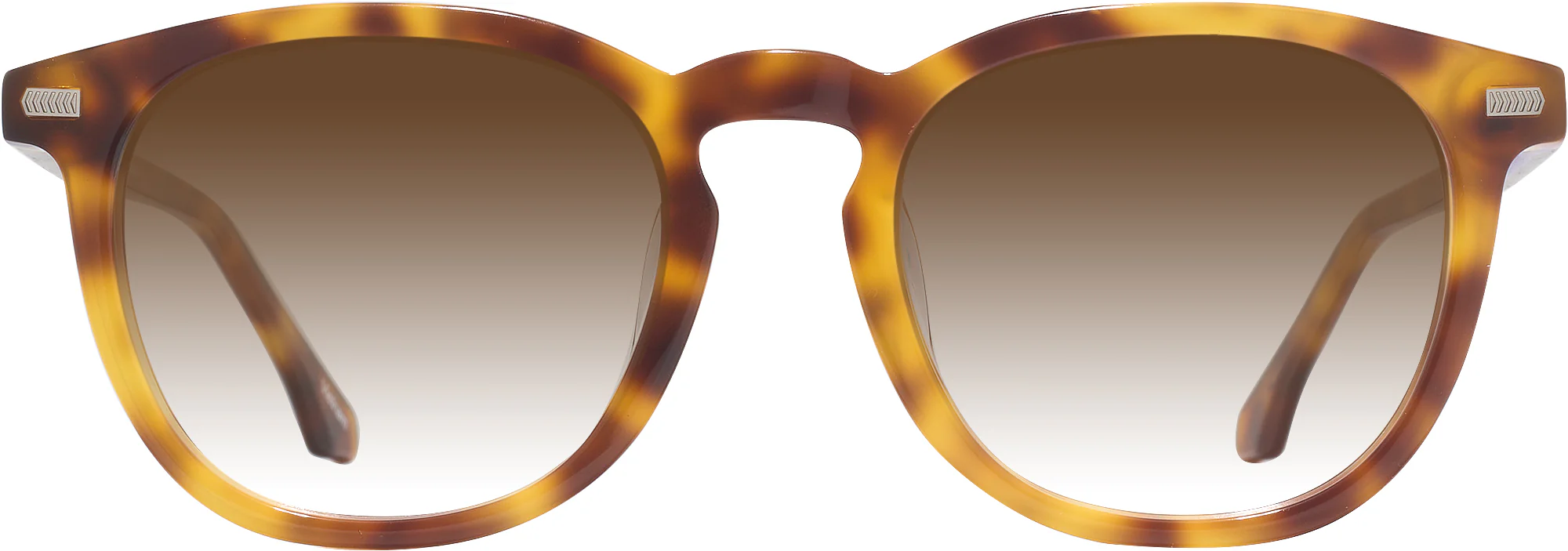 Beethoven Gradient Progressive Reading Sunglasses - Image 10