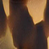 The Billie Bifocal - Image 5