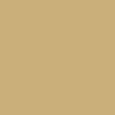 Carrera 2026T Computer Style Progressive - Image 27