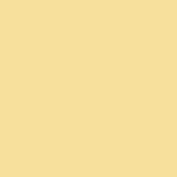 Carrera 244 Progressive No-Lines - Image 15
