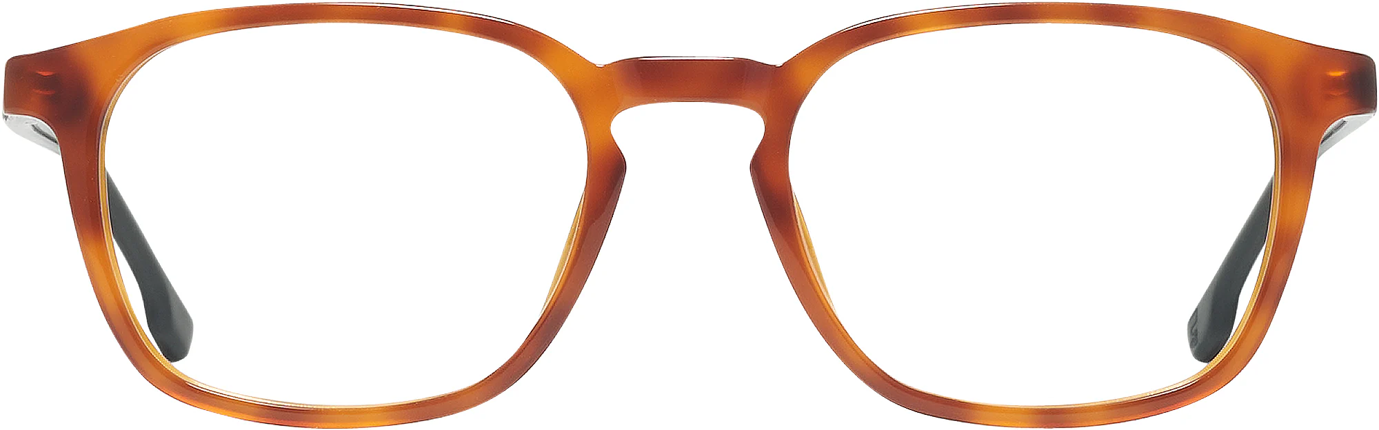 Carrera 244L Progressive No Line Bifocal - Image 2