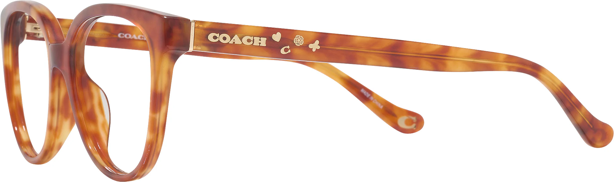Coach 6234U Single Vision Full Frame - Image 14