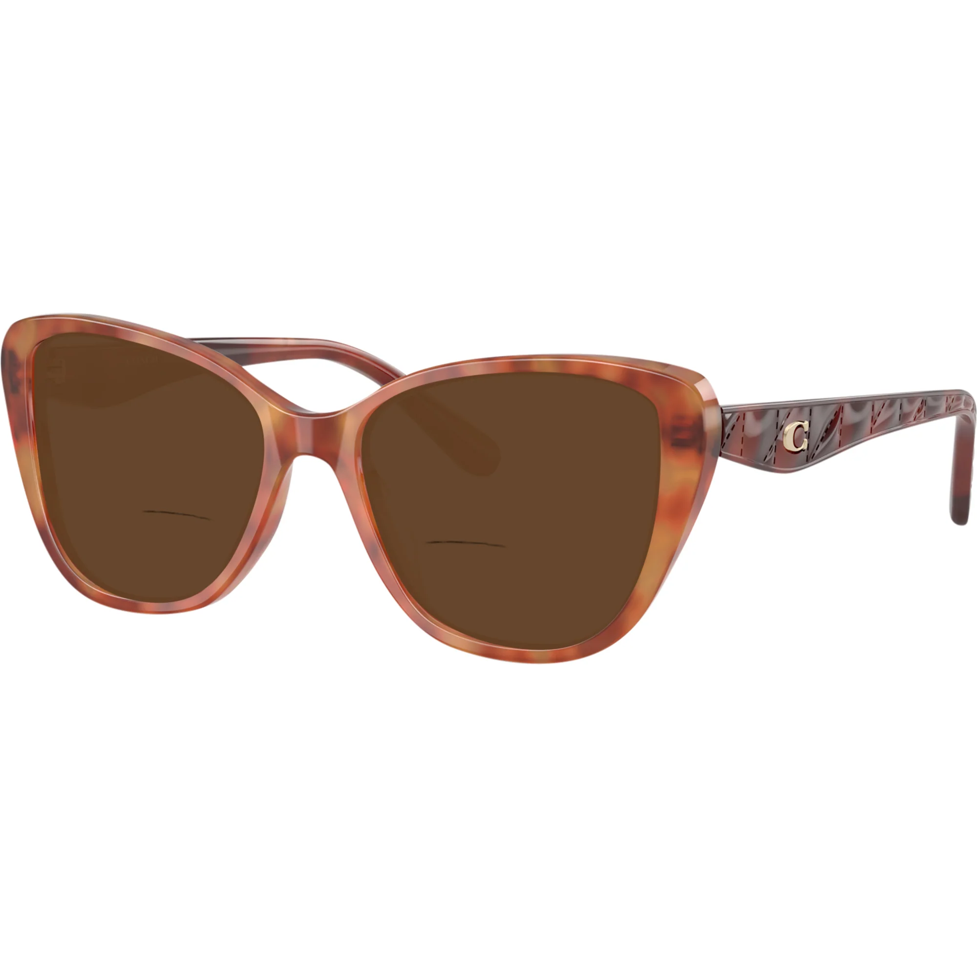 Coach 6255U Bifocal Reading Sunglasses