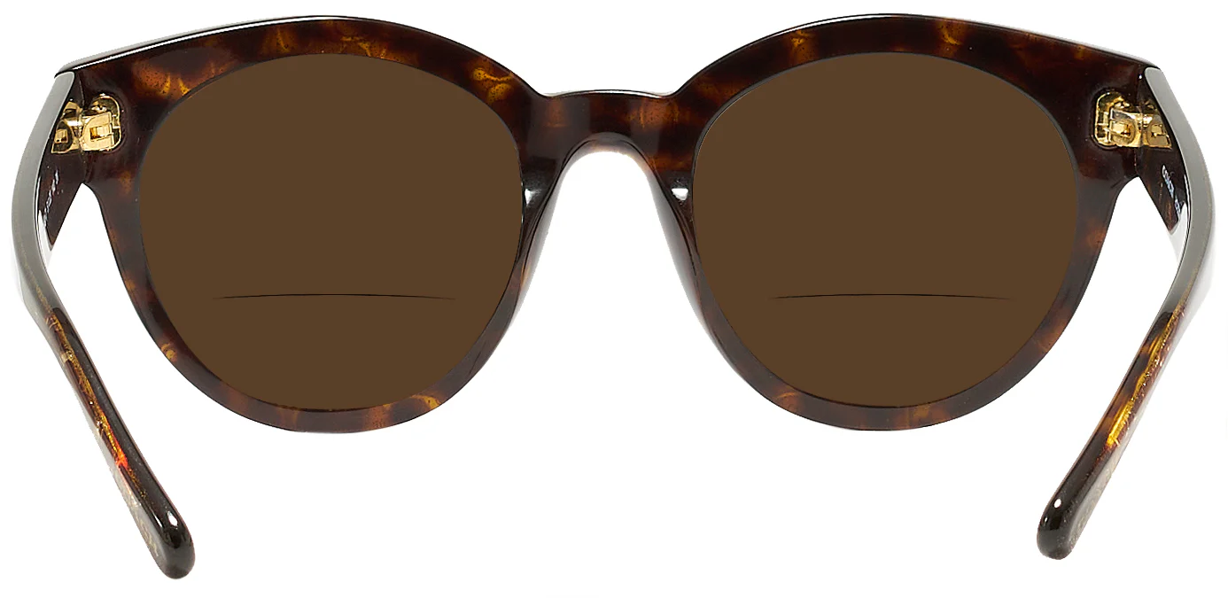 Coach 8265 Bifocal Reading Sunglasses - Image 14