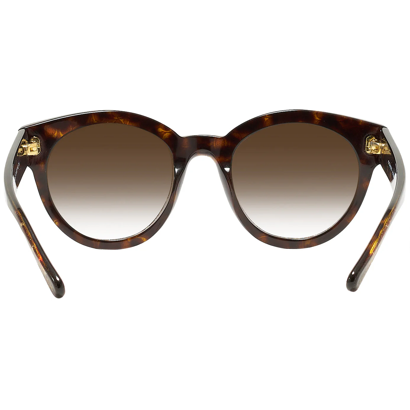 Coach 8265 w/ Gradient Progressive Reading Sunglasses - Image 22