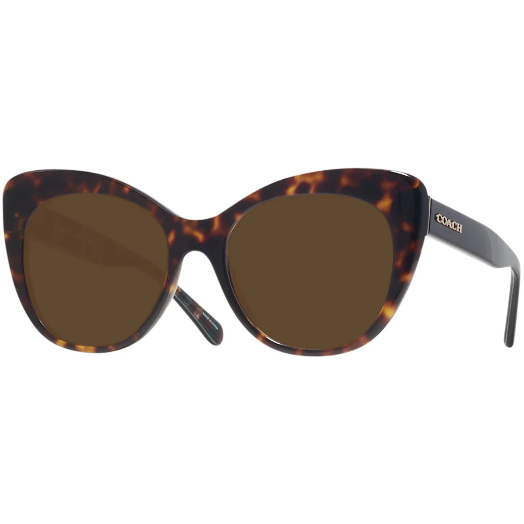 Coach 8317 Progressive Reading Sunglasses