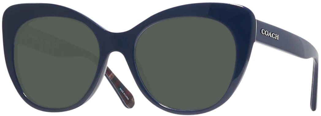 Coach 8317 Progressive Reading Sunglasses - Image 20