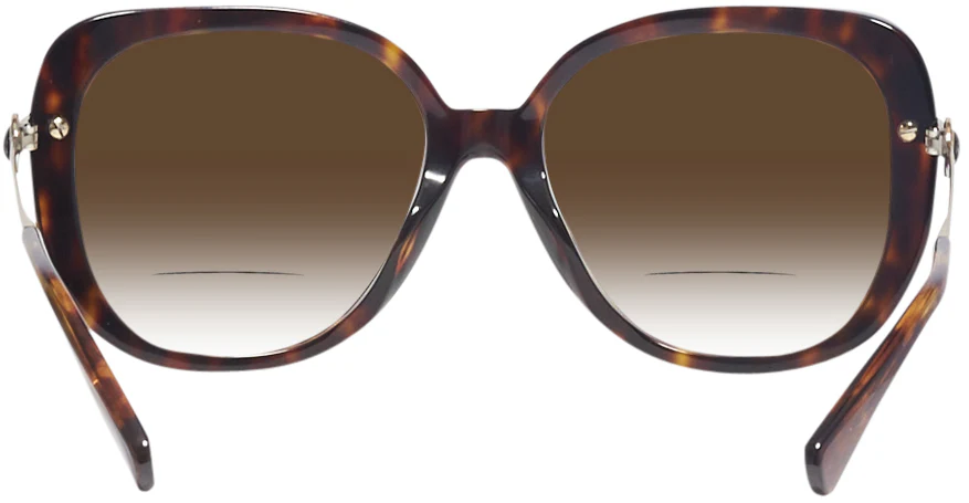 Coach 8320 w/ Gradient Bifocal Reading Sunglasses - Image 19