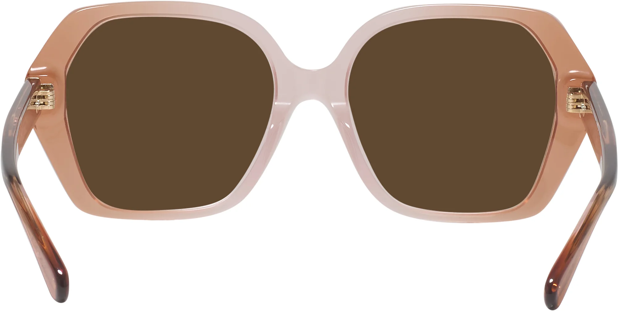 Coach 8404U Progressive Reading Sunglasses - Image 18