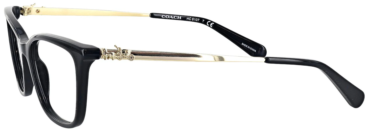 Coach 6107L Progressive No Line Bifocal - Image 3