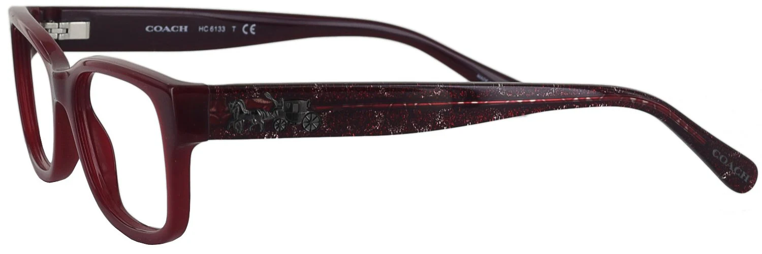Coach 6133 Progressive No Line Bifocal - Image 3