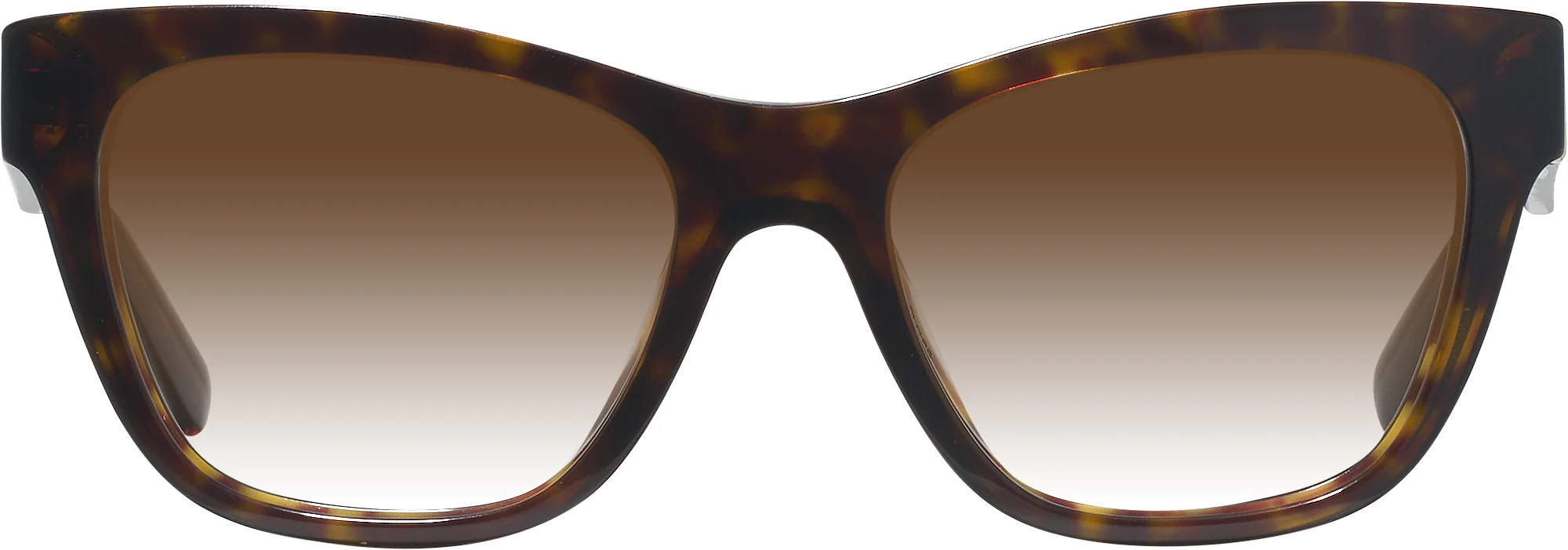 Dolce & Gabbana 3430 w/ Gradient Progressive Reading Sunglasses - Image 8