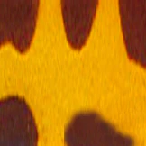 Edge Progressive No Line Bifocal - Image 9