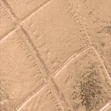 Estate Leather XL - Image 103