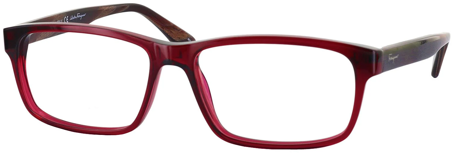 Ferragamo 2669 Computer Style Progressive