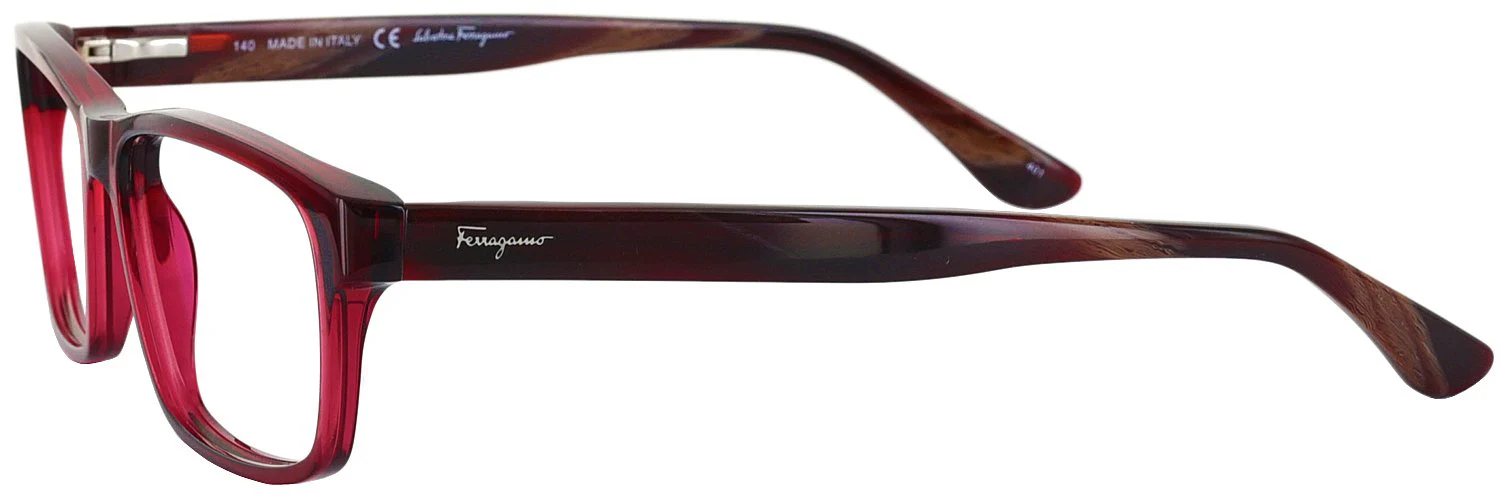 Ferragamo 2669 Computer Style Progressive - Image 3