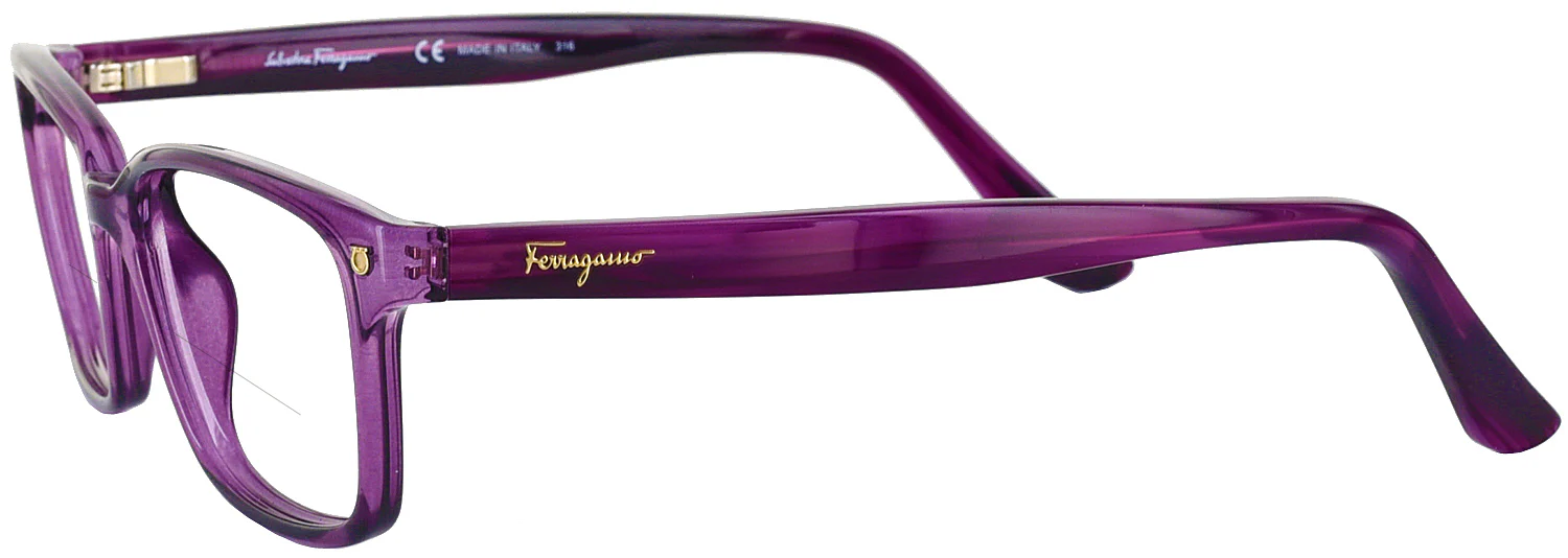 Ferragamo 2733 Bifocal - Image 7