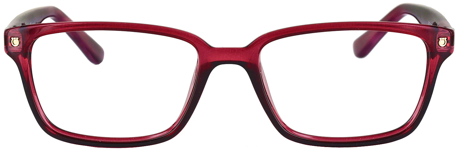 Ferragamo 2733 Computer Style Progressive - Image 2