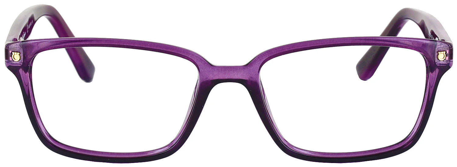 Ferragamo 2733 Computer Style Progressive - Image 6