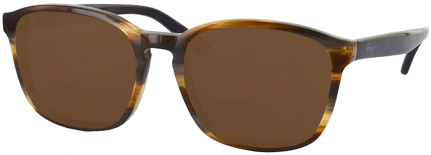 Ferragamo 2739 Progressive No Line Reading Sunglasses