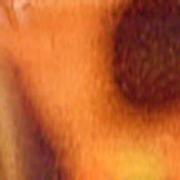 Foxy Single Vision Full Frame - Image 56