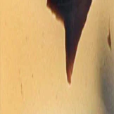 Goo Goo Eyes 898 Single Vision Full Frame - Image 33