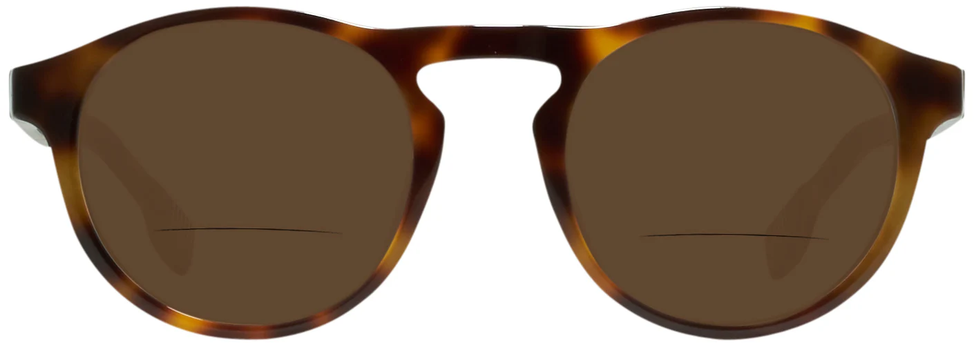Hugo Boss 0973/S Bifocal Reading Sunglasses - Image 2