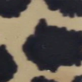 Kate Spade Jalena-S Progressive No-Lines - Image 21
