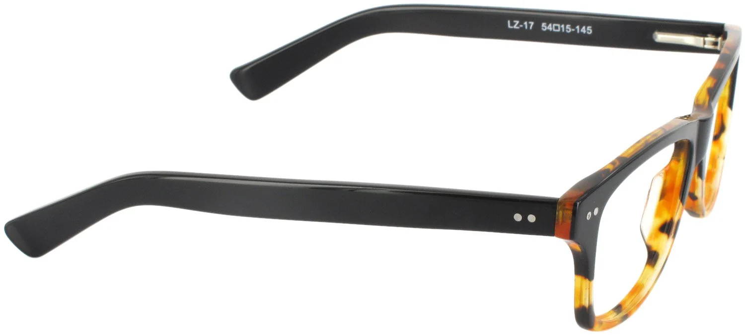 LZ-17 Progressive No Line Bifocal - Image 5