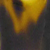 LZ-53 Progressive No-Lines - Image 38