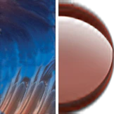 Maui Jim Honi 758 Bifocal Reading Sunglasses - Image 50