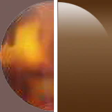 Maui Jim Kipahulu 279 - Image 42
