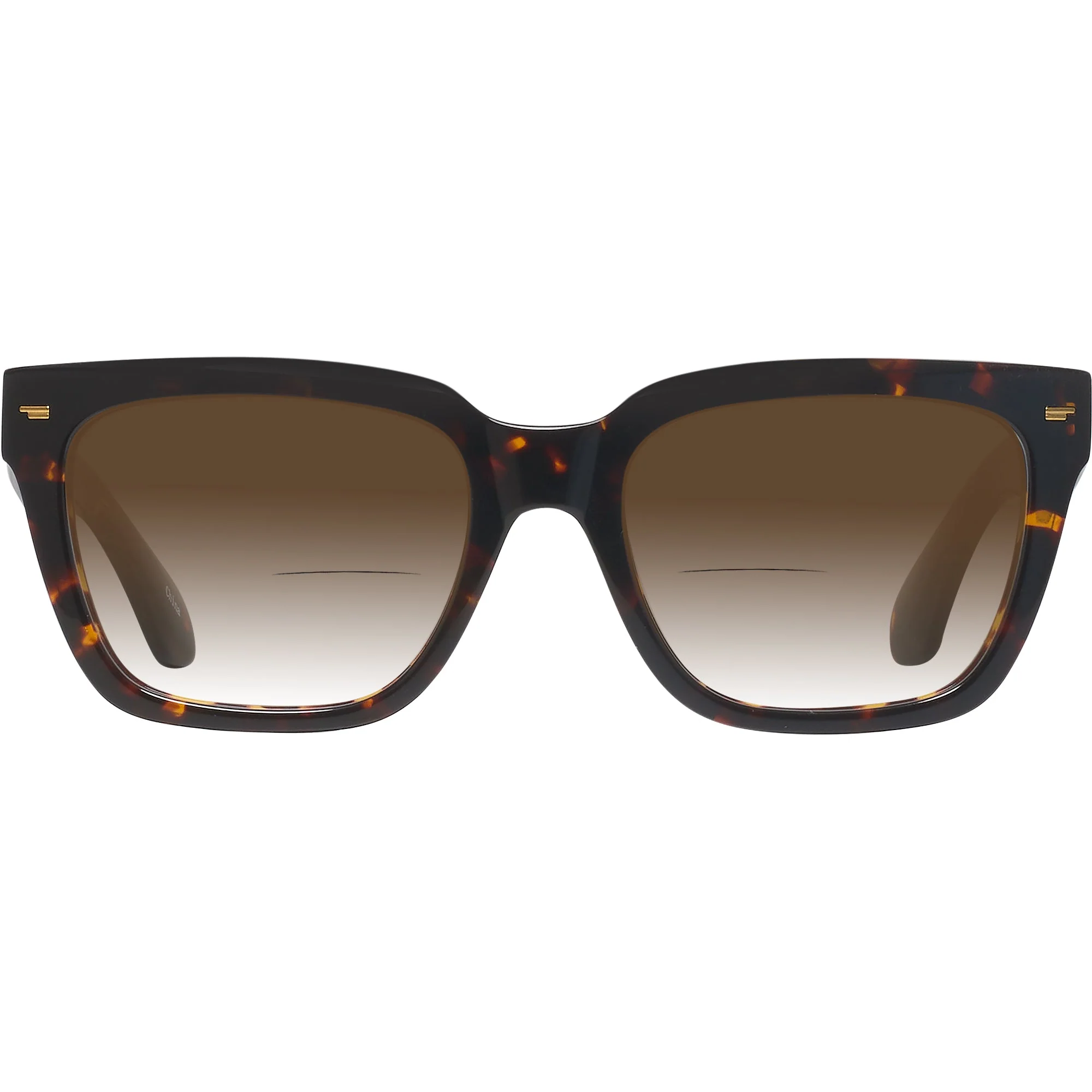 Millicent Bryce 180 w/ Gradient Bifocal Reading Sunglasses - Image 24