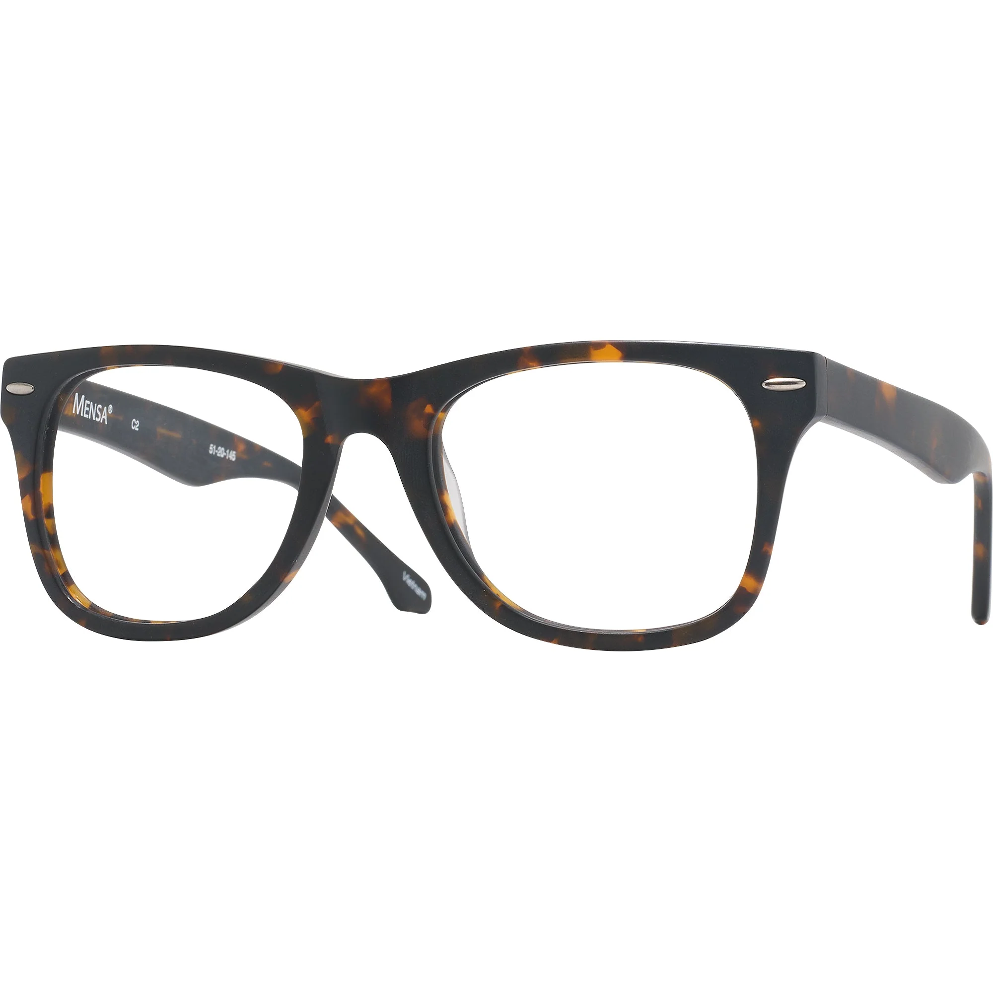 Newton (51mm) Single Vision Full Frame w/ FREE NON-GLARE - Image 39