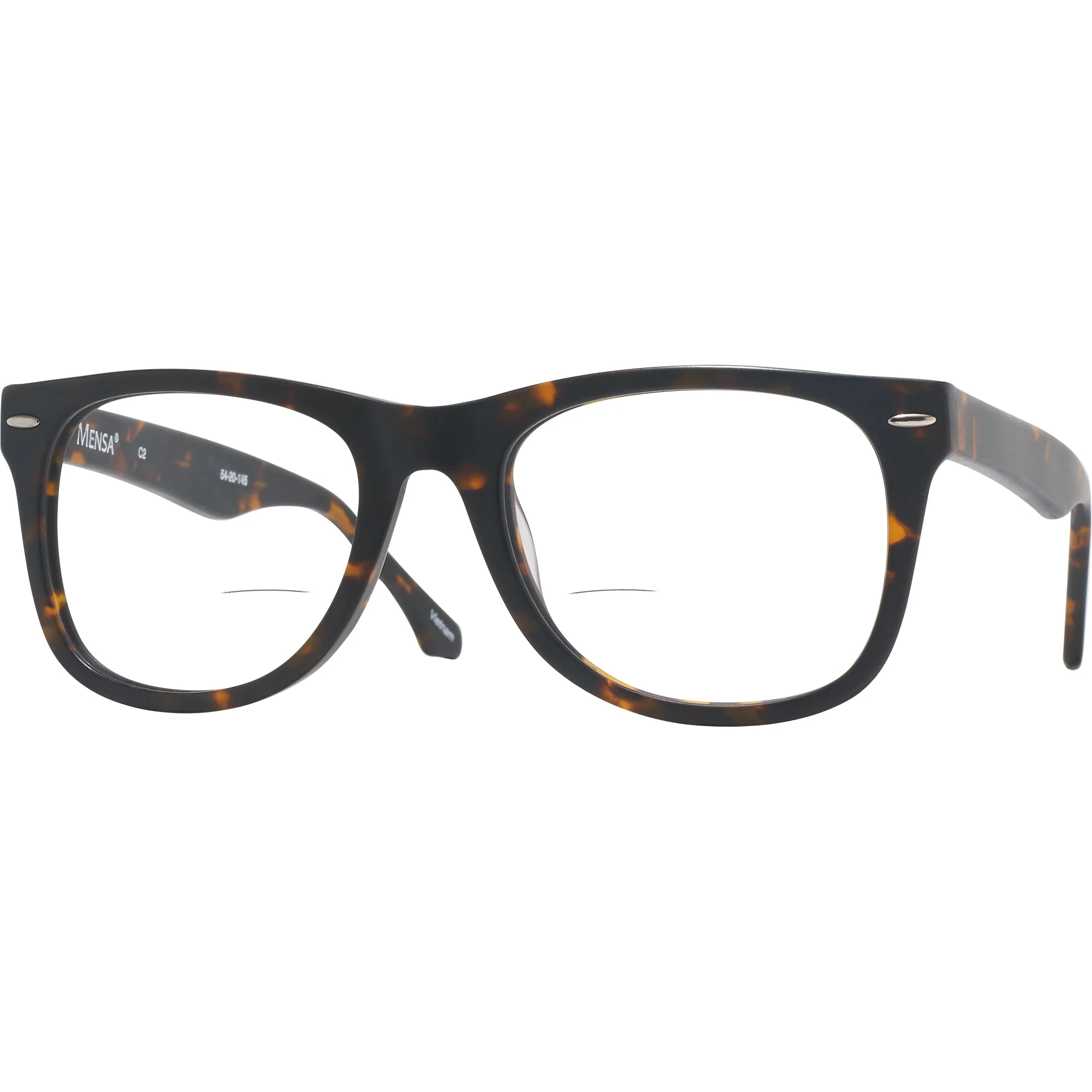 Newton (54mm) Bifocal w/ FREE NON-GLARE - Image 39