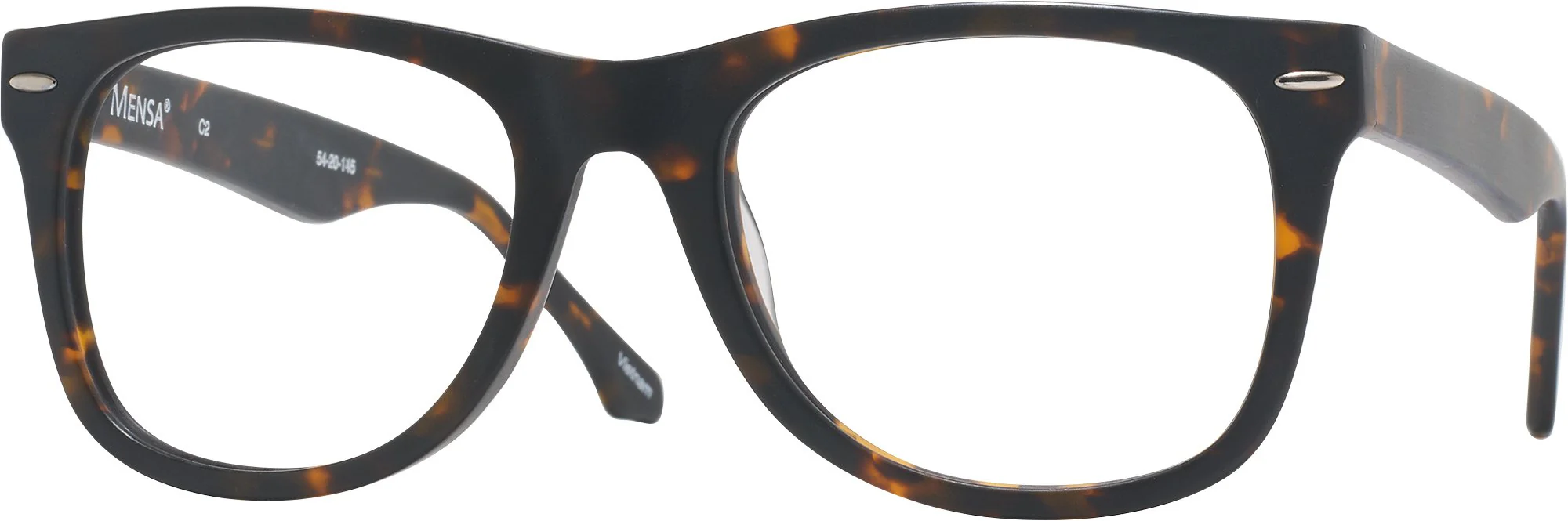 Newton (54mm) Single Vision Full Frame w/ FREE NON-GLARE - Image 28