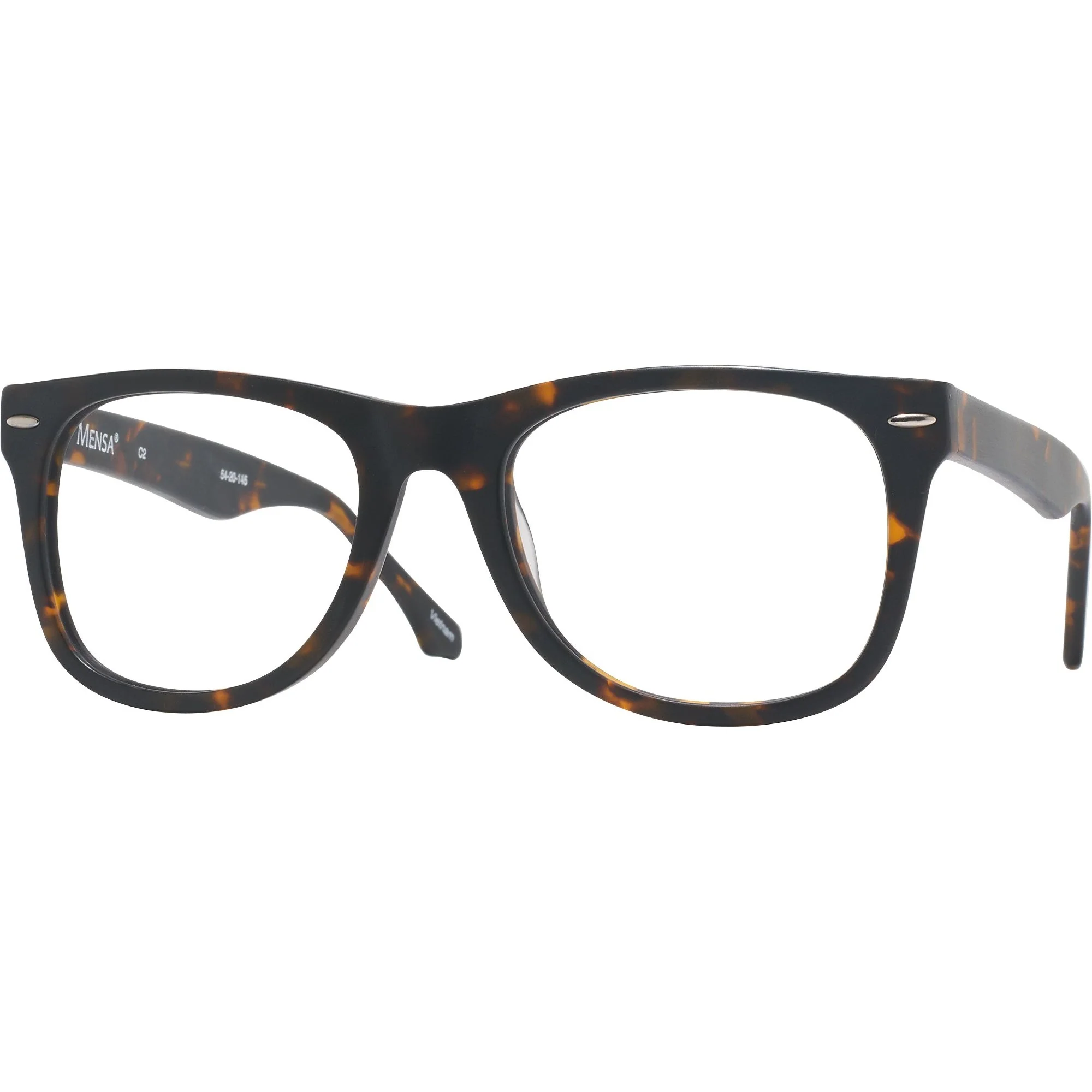 Newton (54mm) Single Vision Full Frame w/ FREE NON-GLARE - Image 39