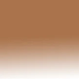 Pioneer Progressive Reading Sunglasses - Image 9