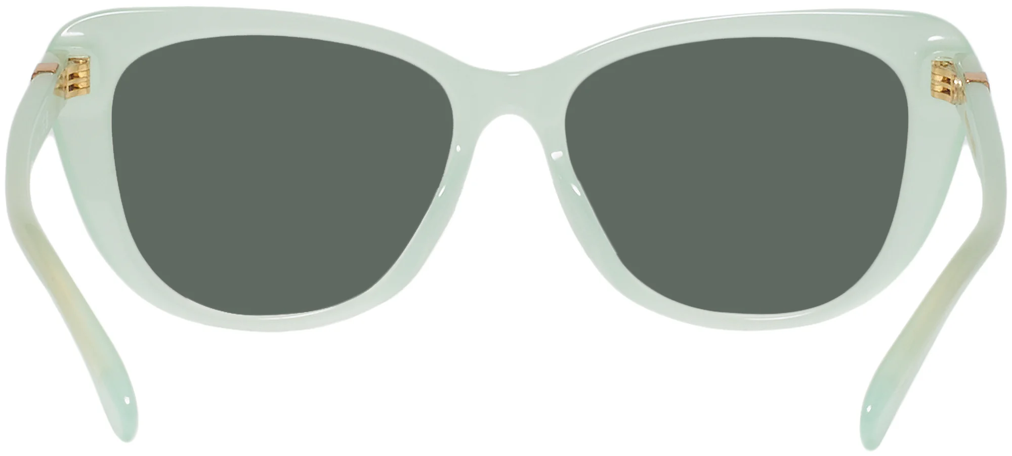 Ralph Lauren 6232U Progressive Reading Sunglasses - Image 27