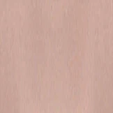Ralph Lauren 6243 Progressive No-Lines - Image 65