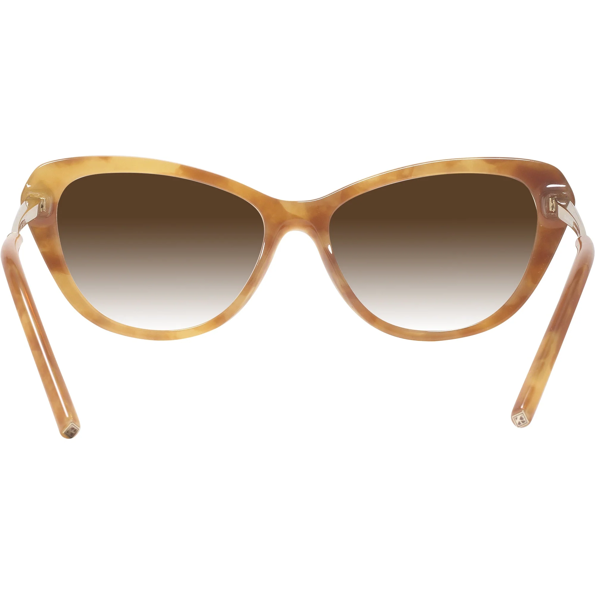 Ralph Lauren 6245 w/ Gradient Progressive Reading Sunglasses - Image 35