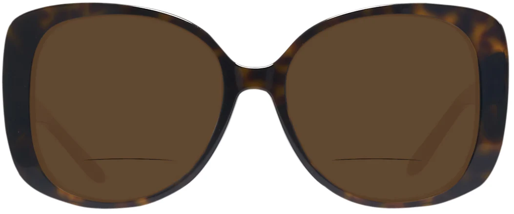 Ralph Lauren 8196BU Bifocal Reading Sunglasses - Image 11