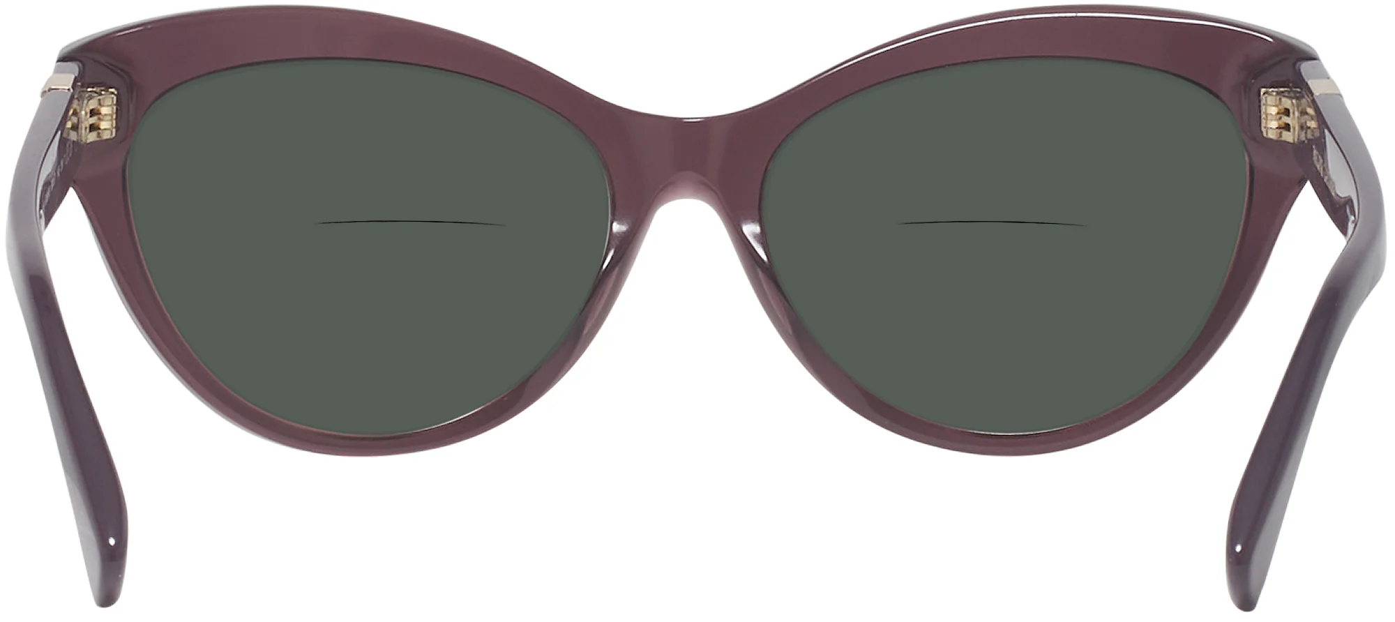 Ralph Lauren 8213 Bifocal Reading Sunglasses - Image 27