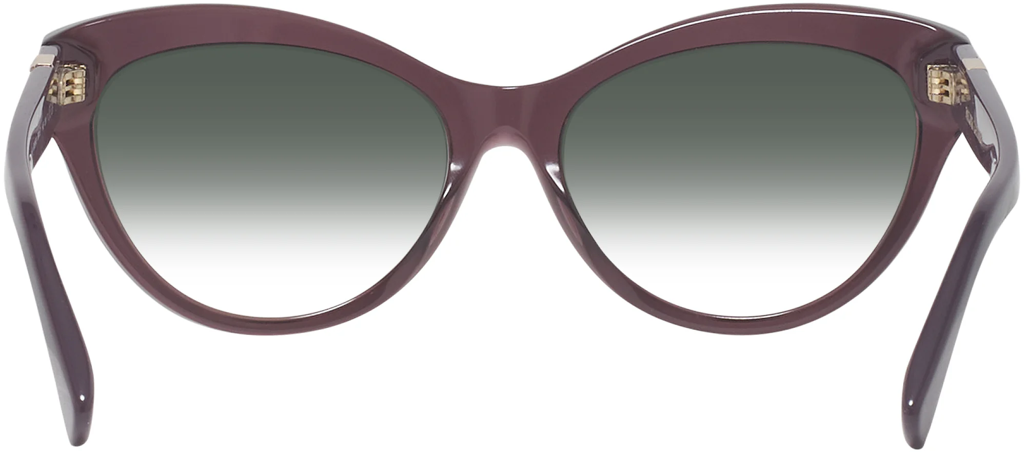 Ralph Lauren 8213 w/ Gradient Progressive Reading Sunglasses - Image 27