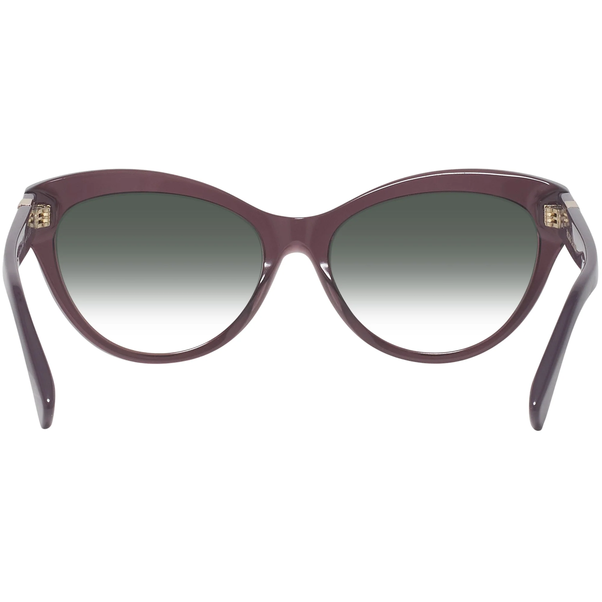 Ralph Lauren 8213 w/ Gradient Progressive Reading Sunglasses - Image 39