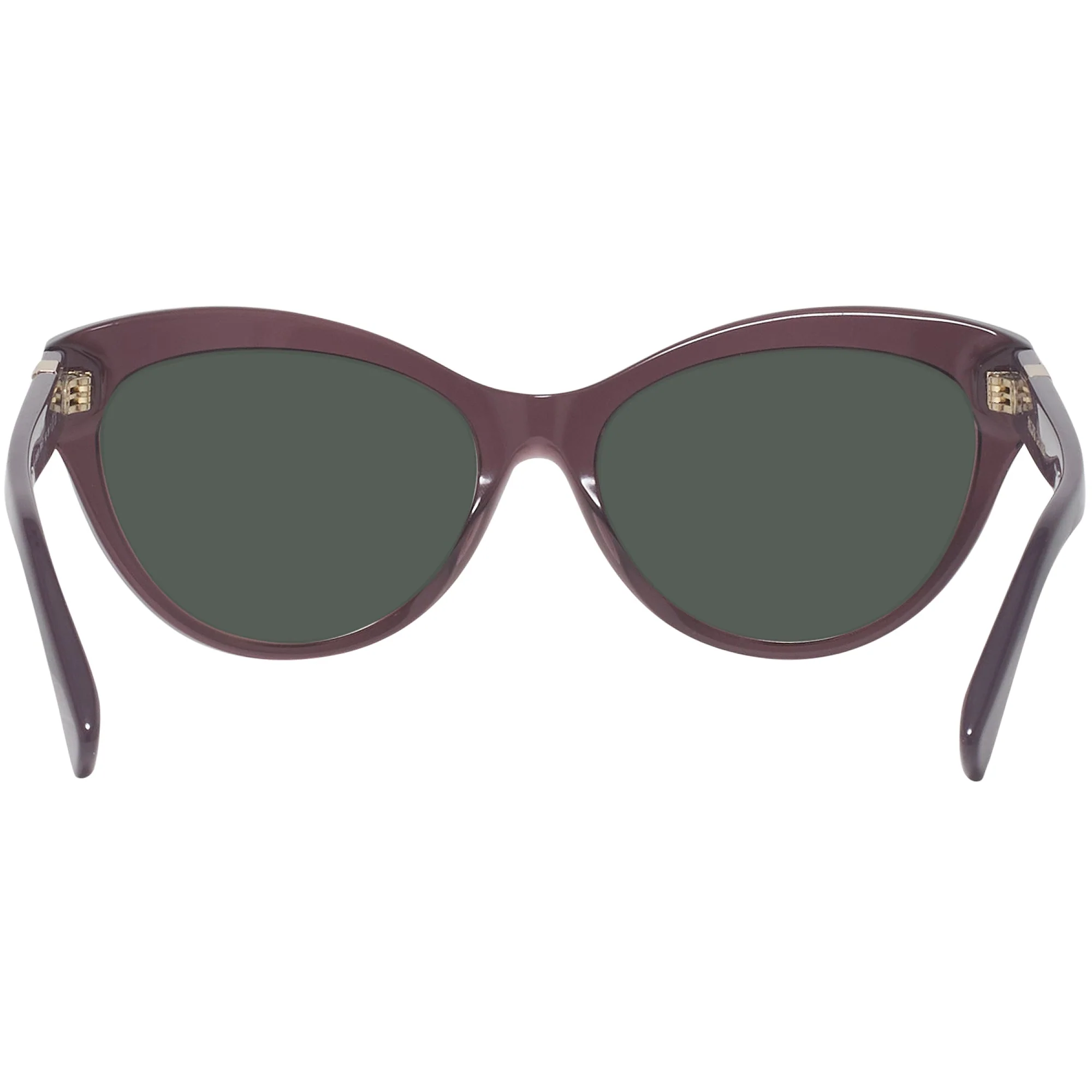 Ralph Lauren 8213 Progressive Reading Sunglasses - Image 12