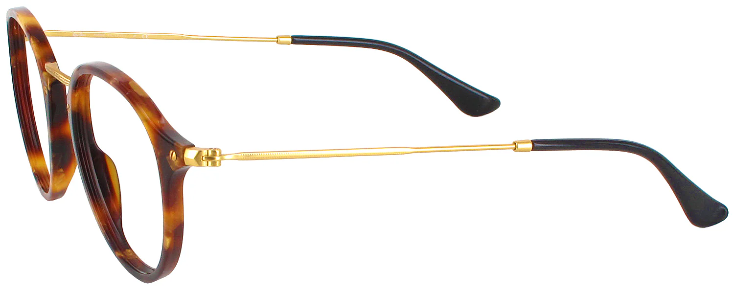 Ray-Ban 2447VL Round Fleck Progressive No-Lines - Image 7