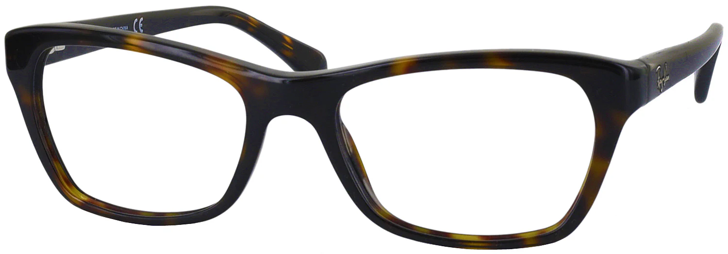 Ray-Ban 5298 Petite Progressive No Line Bifocal - Image 5