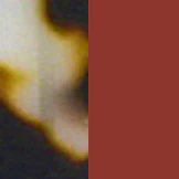 Rodenstock 420 Bifocal - Image 15